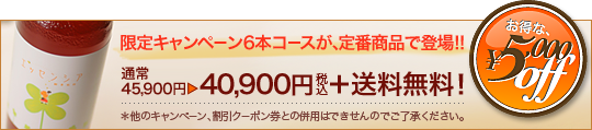 キレイにやせよう応援キャンペーン実施中：エッセンシア酵素6本セットを、通常価格45,900円のところ、只今40,900円で販売しております。さらに送料無料！2007年12月28日～2008年3月31日までとなっております。