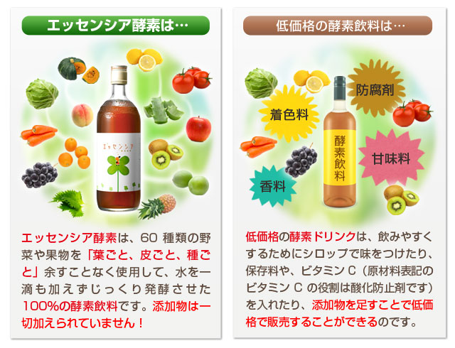 エッセンシア 酵素飲料 - その他